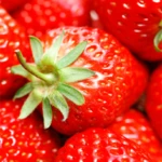 Logo of Strawberry Wallpapers android Application 