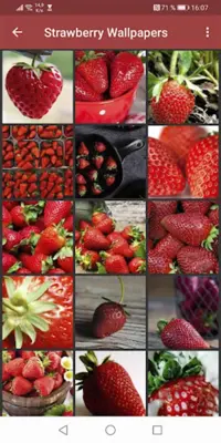 Strawberry Wallpapers android App screenshot 0