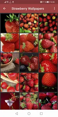 Strawberry Wallpapers android App screenshot 2