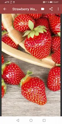 Strawberry Wallpapers android App screenshot 3